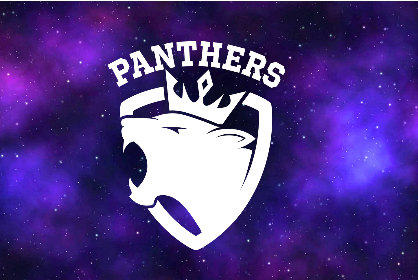 Panther Development Squad - SHE CAN PLAY